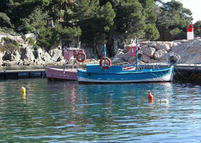 T2 50m² Vue Presqu'il De Giens. Rc Lejlighed *